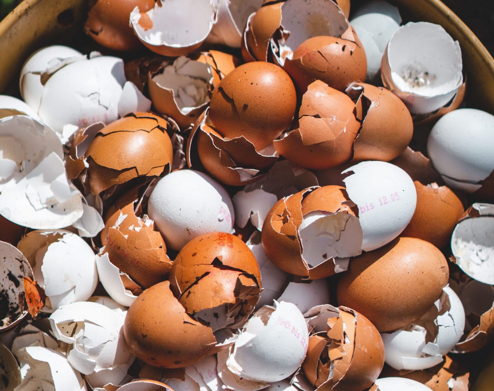 “Egg Shell Skull” Exposes Cracks In Workplace Procedures Rankin